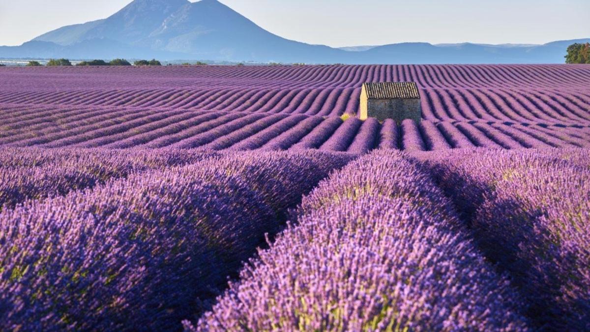 Roulotte Bohemian Lover In Provence, Valensole Eksteriør billede
